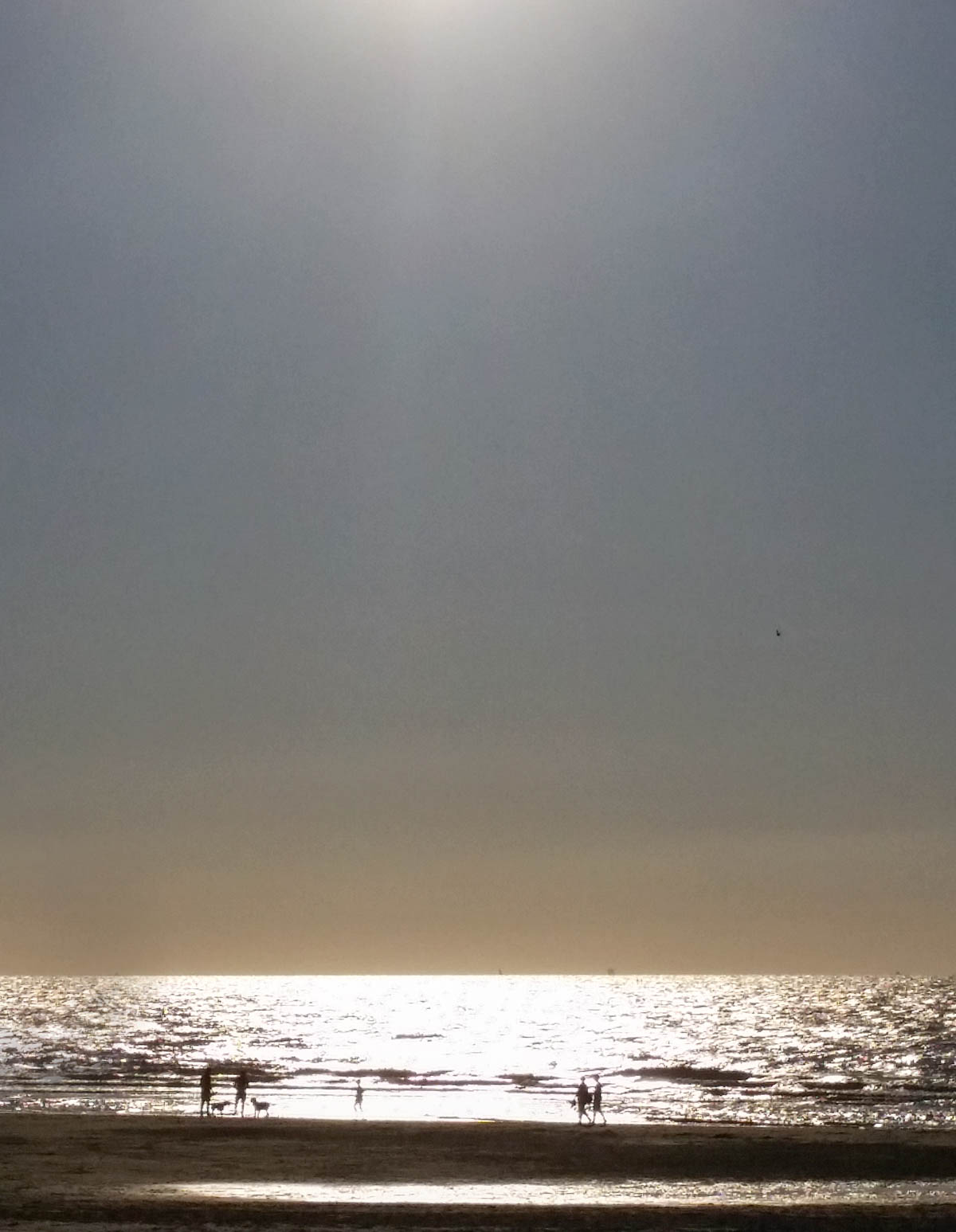 Quest4Trance – The Beach Edition