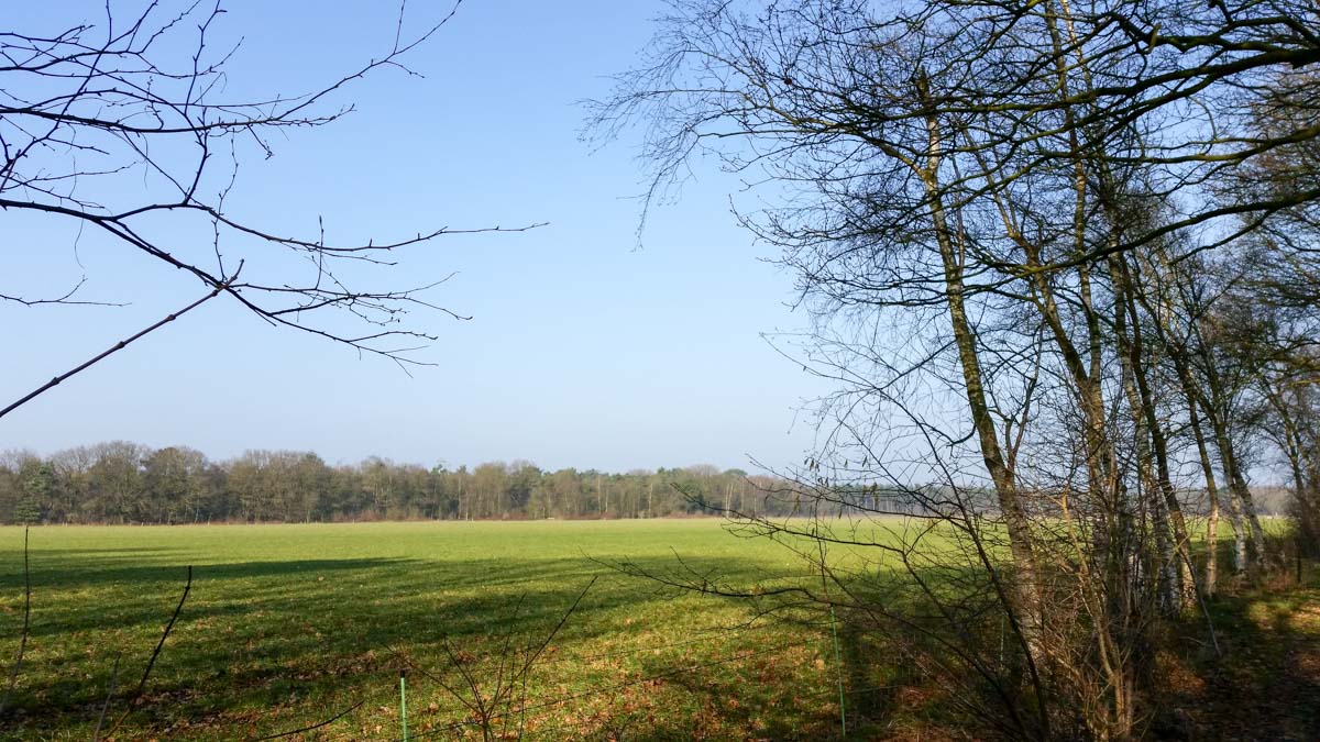 Hengstheuvel & Hultje, Maashorst boeren @ Uden