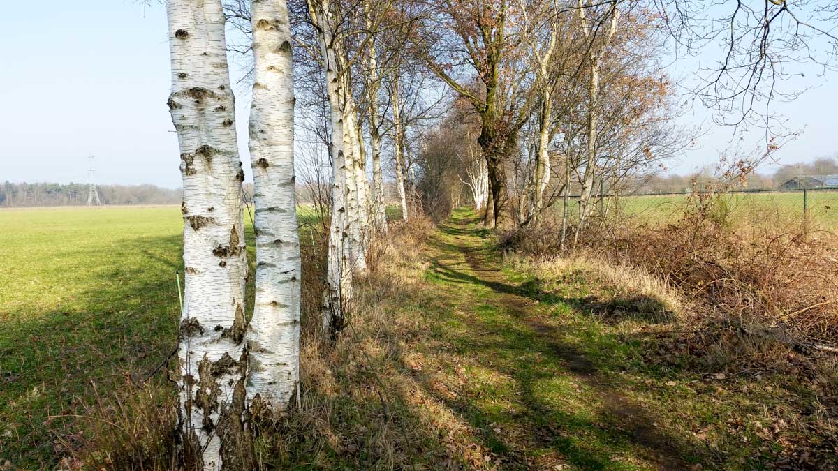 Hengstheuvel & Hultje, Maashorst boeren @ Uden