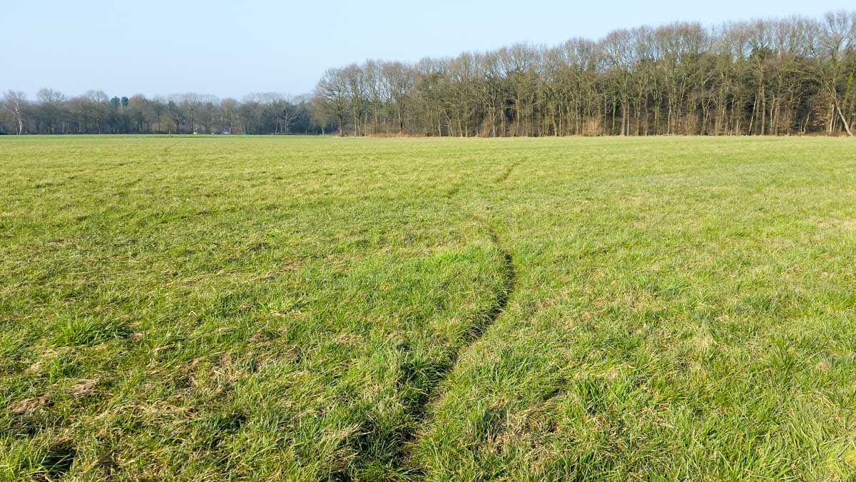 Hengstheuvel & Hultje, Maashorst boeren @ Uden