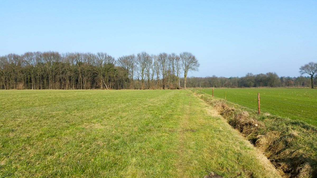 Hengstheuvel & Hultje, Maashorst boeren @ Uden