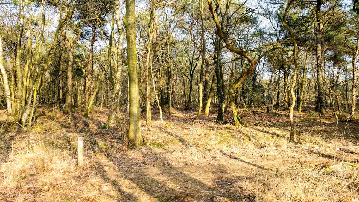 Hengstheuvel & Hultje, Maashorst boeren @ Uden