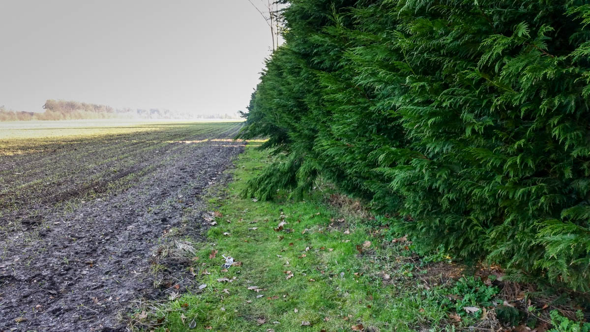 Hengstheuvel & Hultje, Maashorst boeren @ Uden