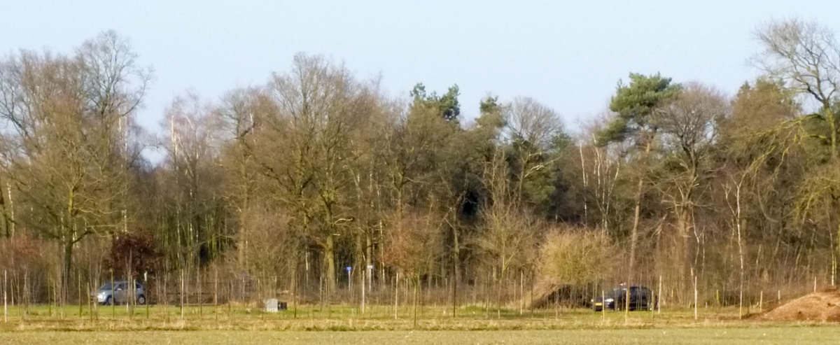 Hengstheuvel & Hultje, Maashorst boeren @ Uden