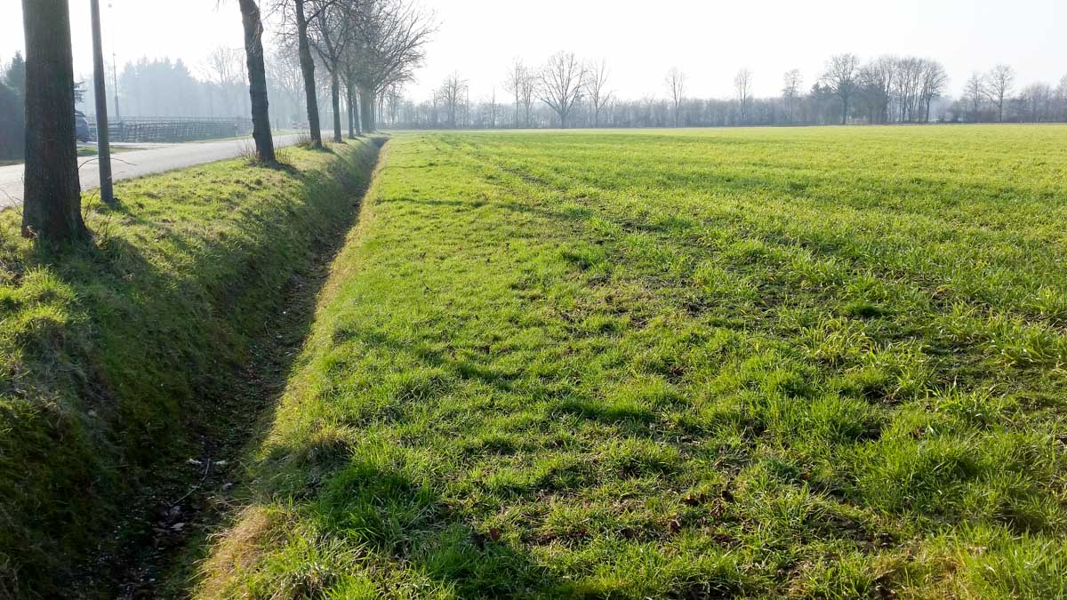Hengstheuvel & Hultje, Maashorst boeren @ Uden