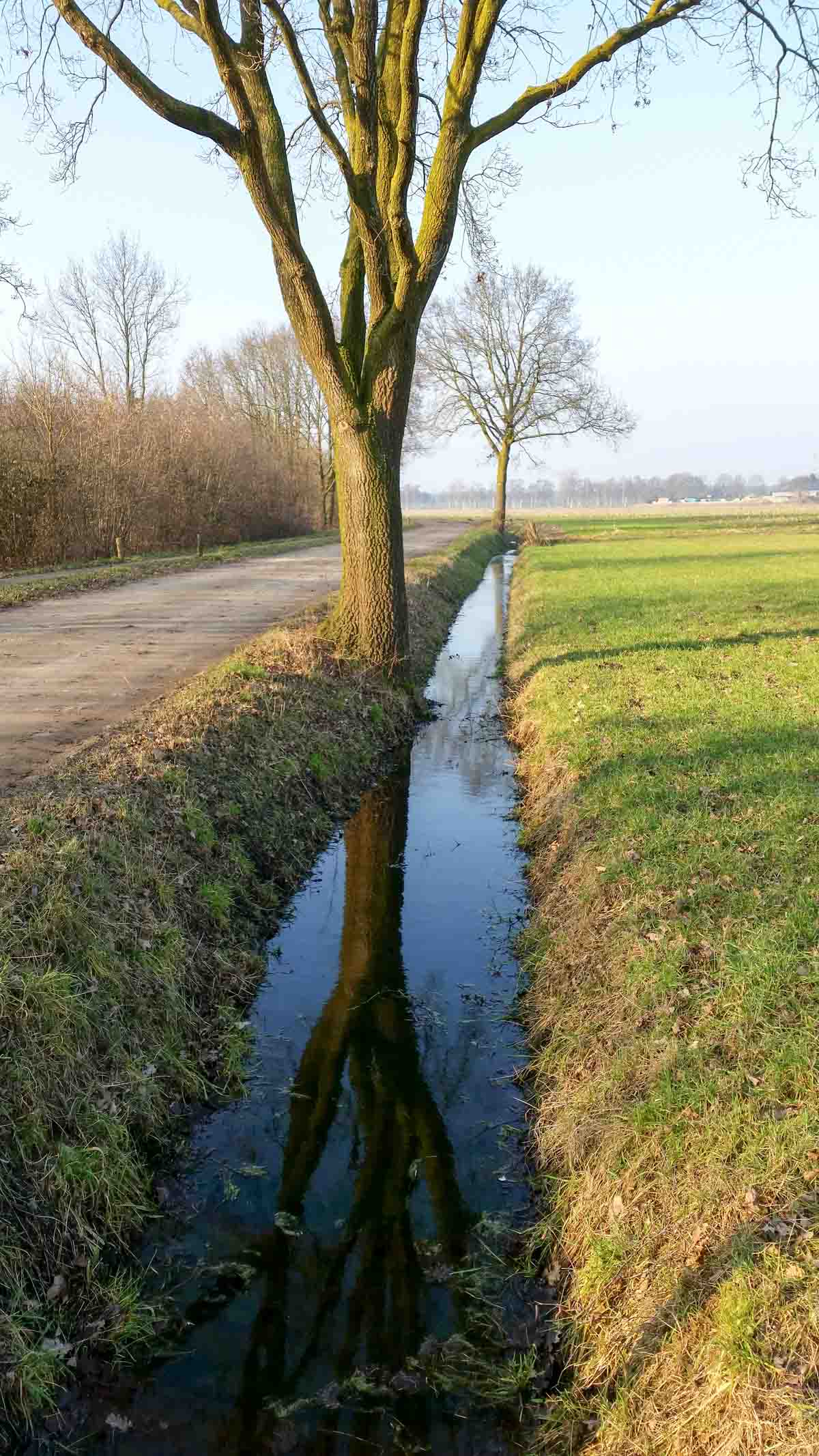 Hengstheuvel & Hultje, Maashorst boeren @ Uden