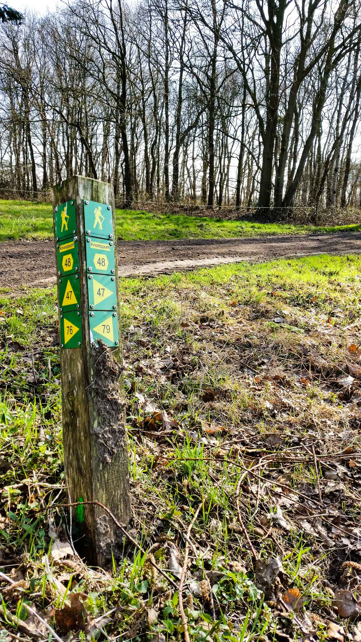 #wandelroute 12: Reekse bossen