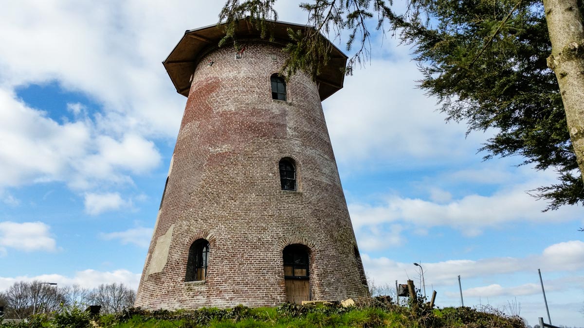 #wandelroute 12: Reekse bossen