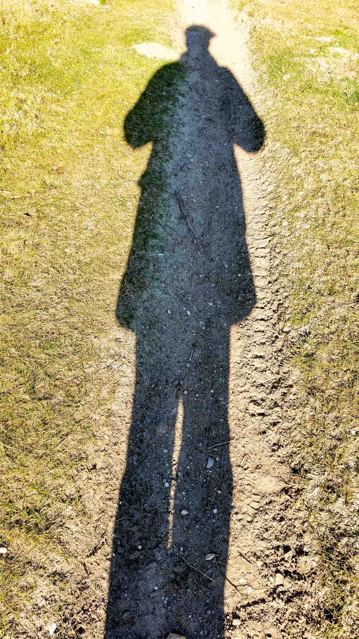 #wandelroute 12: Reekse bossen