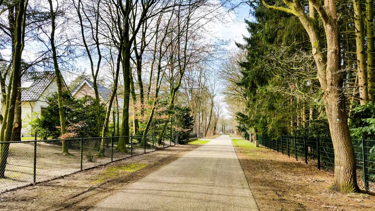 #wandelroute 12: Reekse bossen