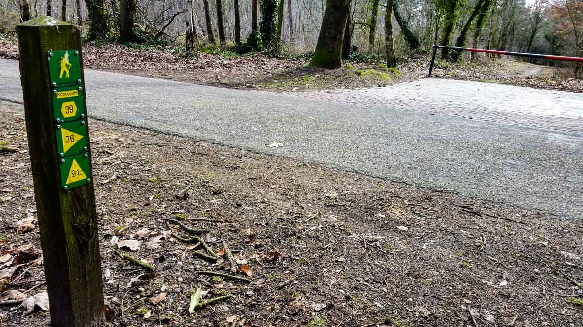 #wandelroute 12: Reekse bossen