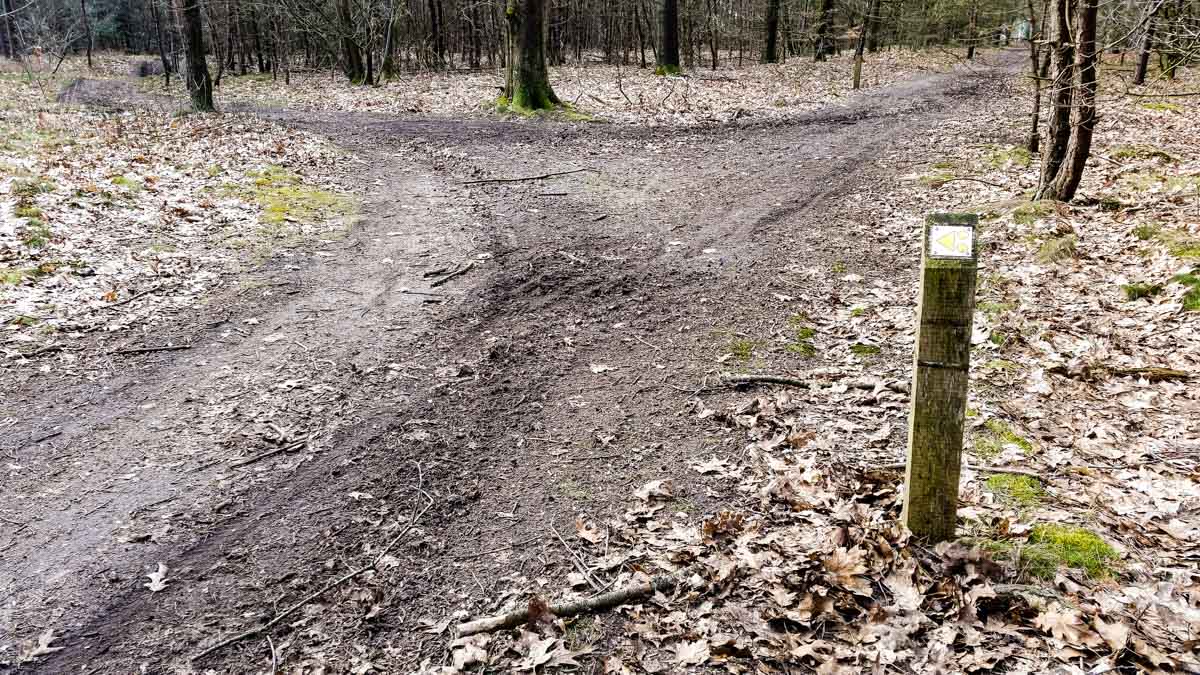 #wandelroute 12: Reekse bossen