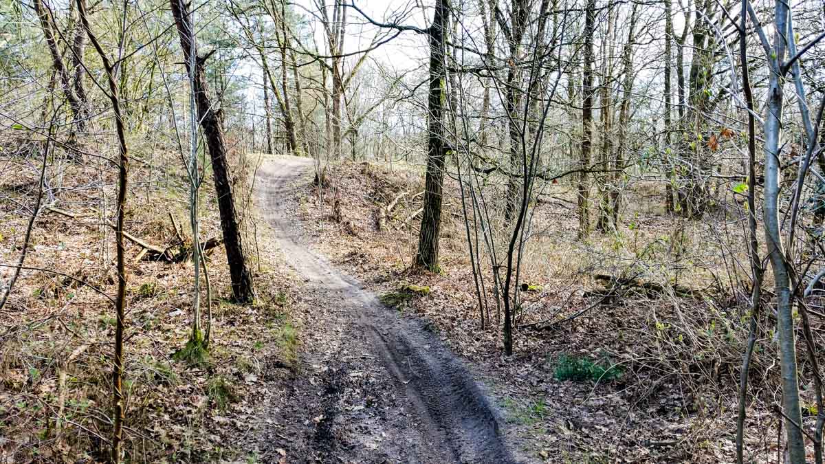 #wandelroute 12: Reekse bossen
