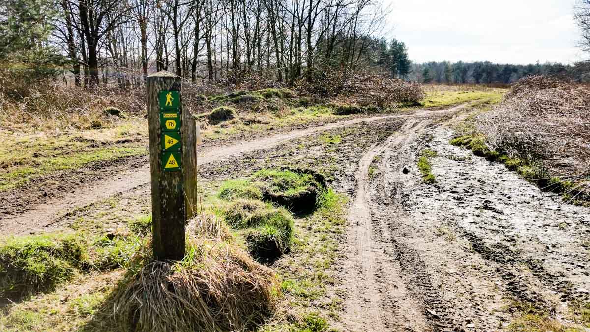 #wandelroute 12: Reekse bossen