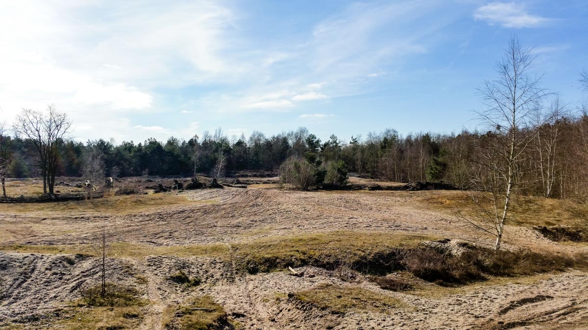 #wandelroute 12: Reekse bossen