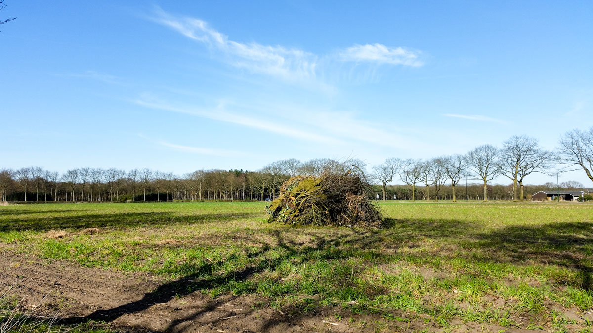 #wandelroute 12: Reekse bossen