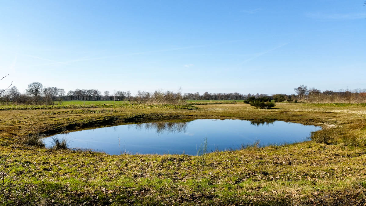 #wandelroute 12: Reekse bossen