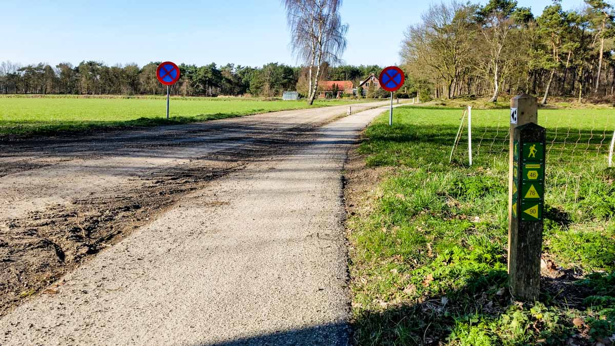 #wandelroute 12: Reekse bossen