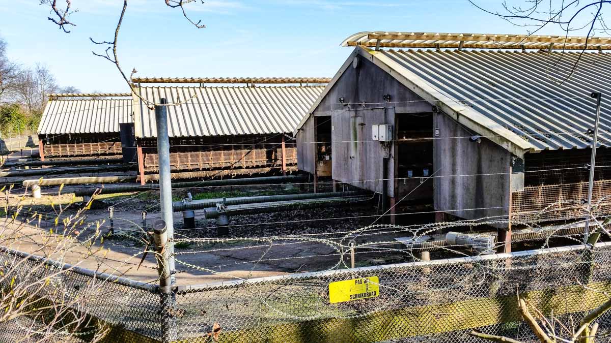 #wandelroute 12: Reekse bossen