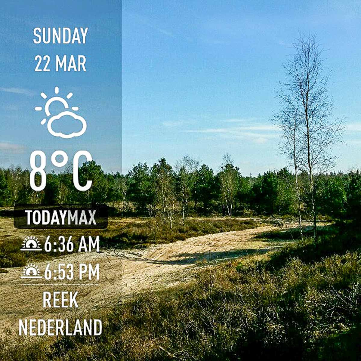 #wandelroute 12: Reekse bossen