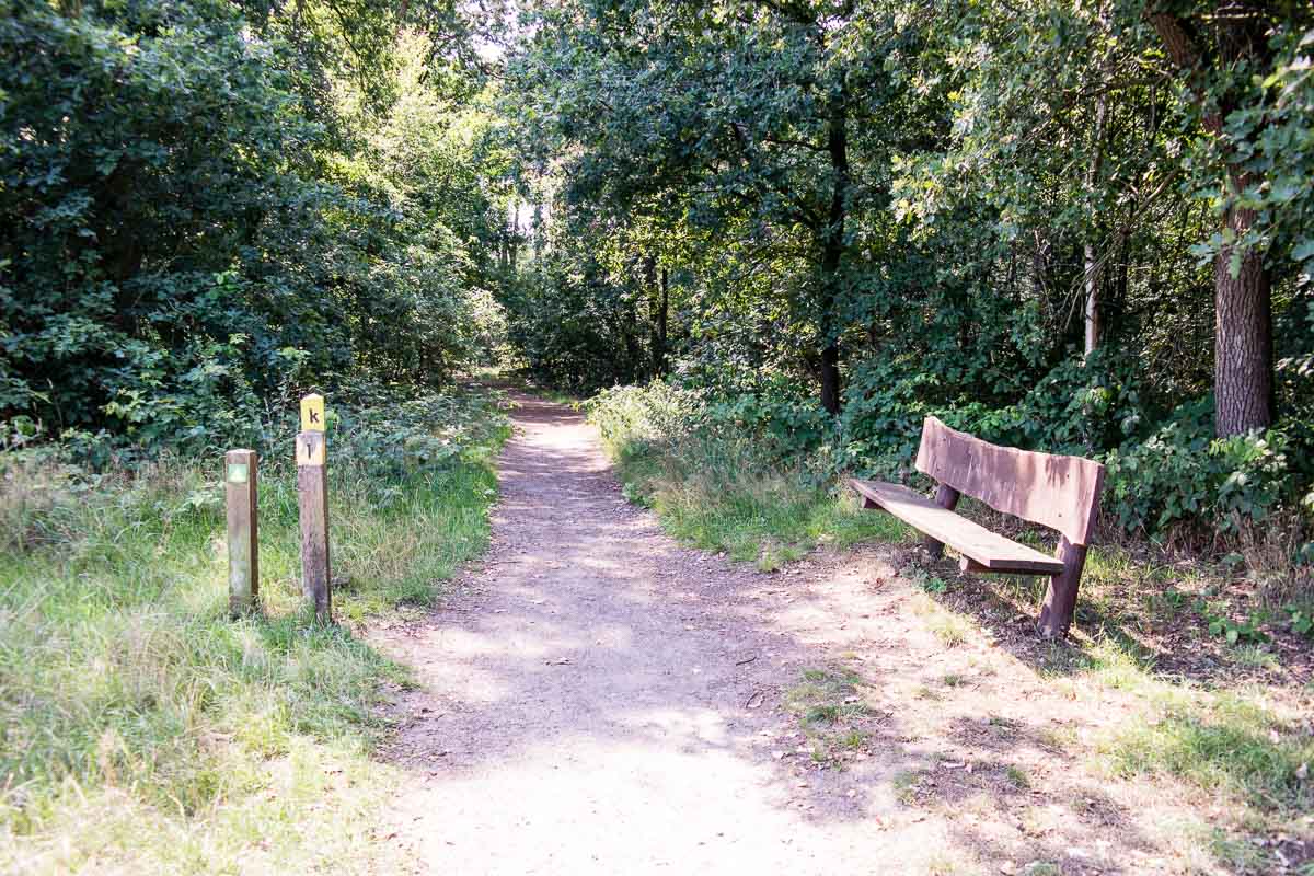 Kabouterpad Uden, Maashorst