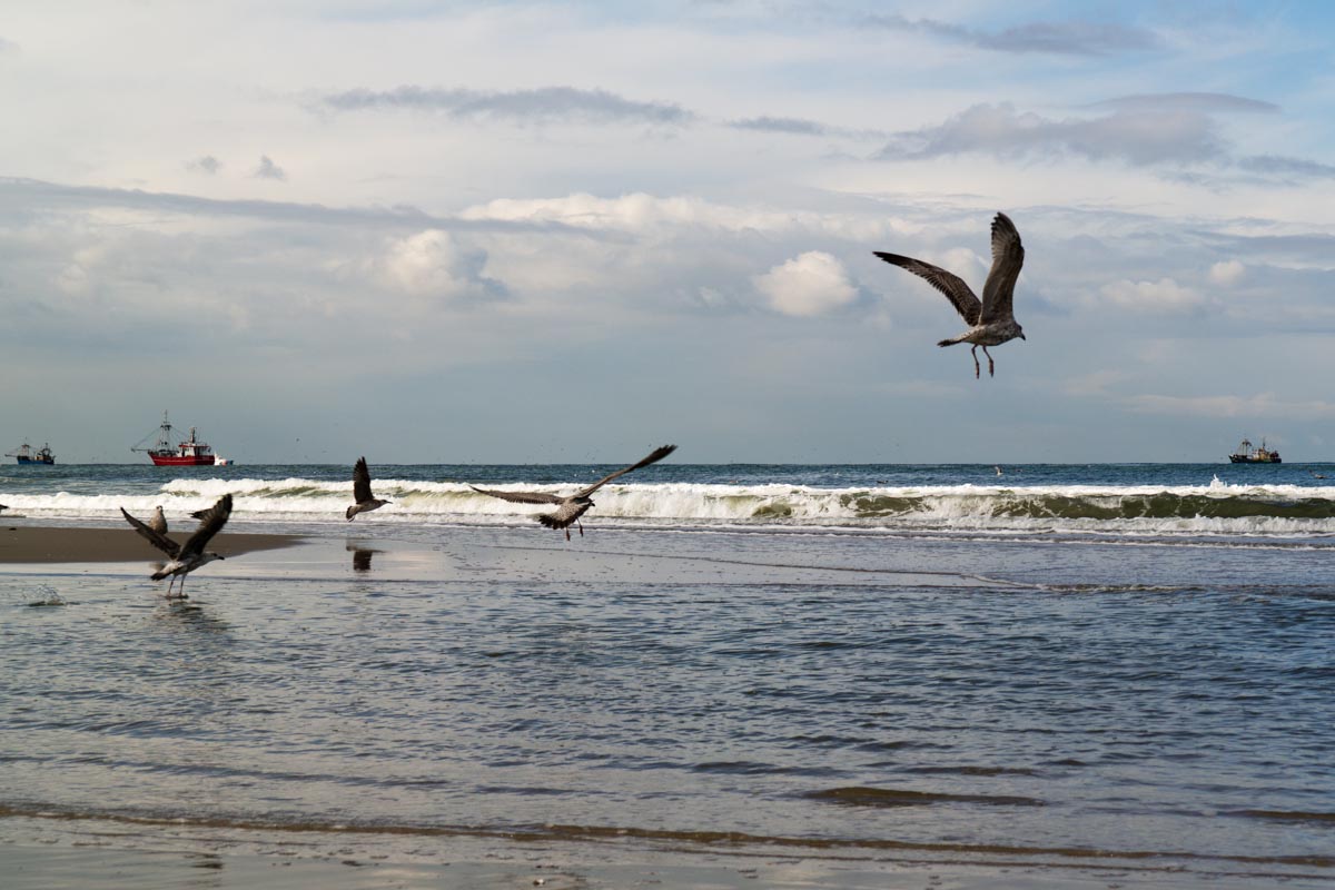 Kijkduin Beach Kijkduin Beach