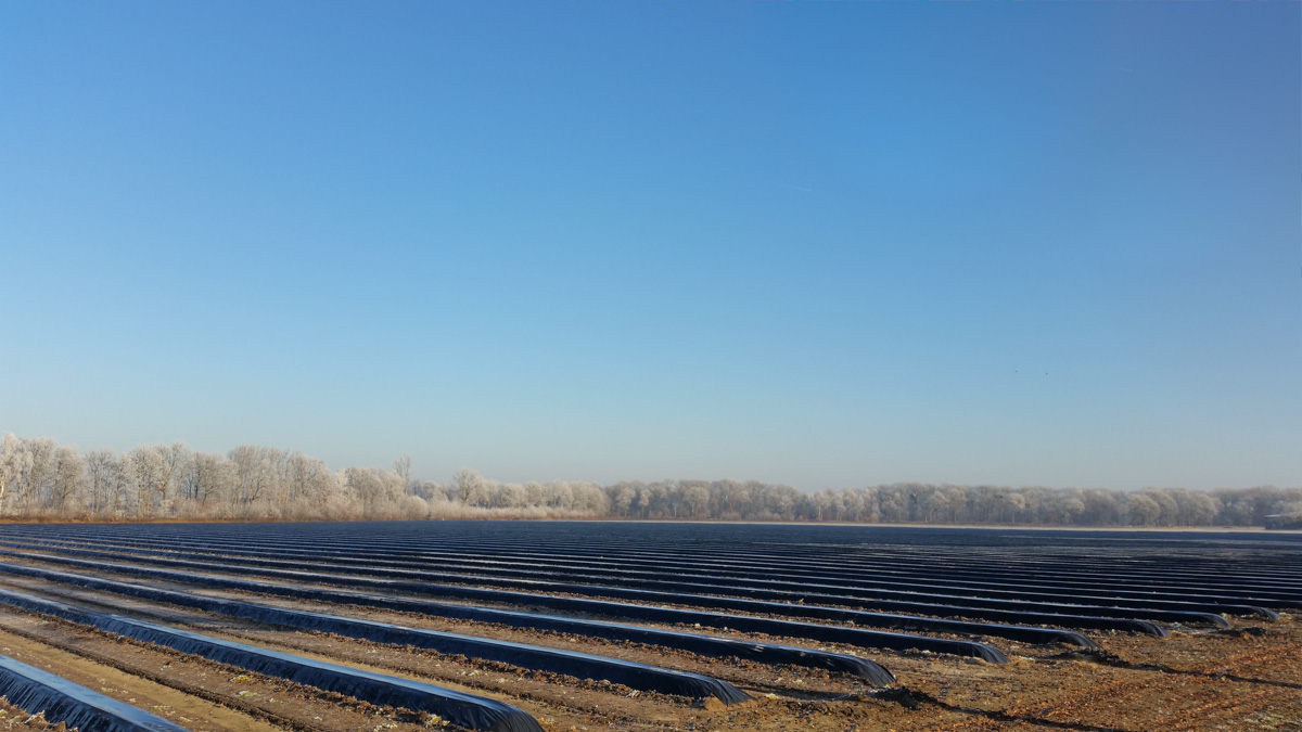 Bernhezer Winterwandeltocht