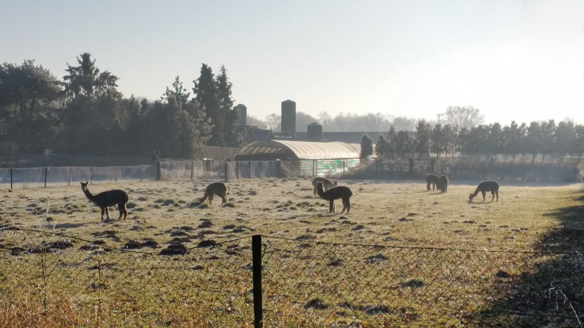 Bernhezer Winterwandeltocht