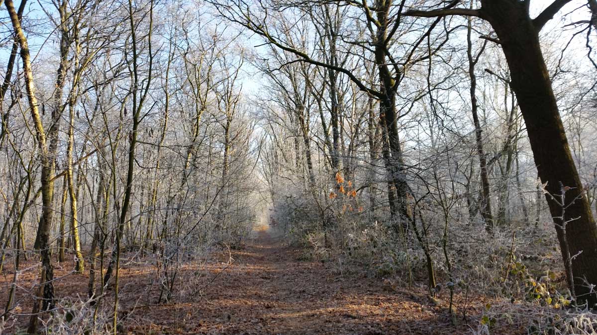 Bernhezer Winterwandeltocht