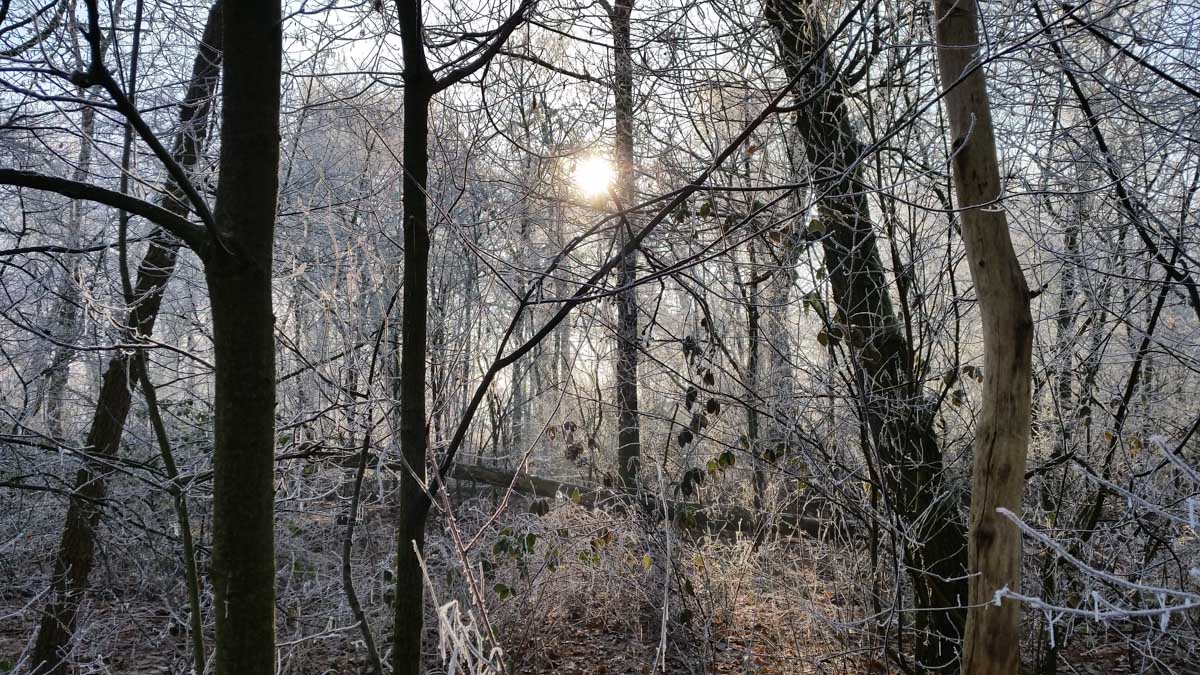 Bernhezer Winterwandeltocht