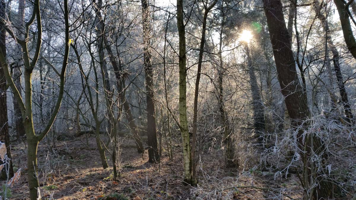 Bernhezer Winterwandeltocht