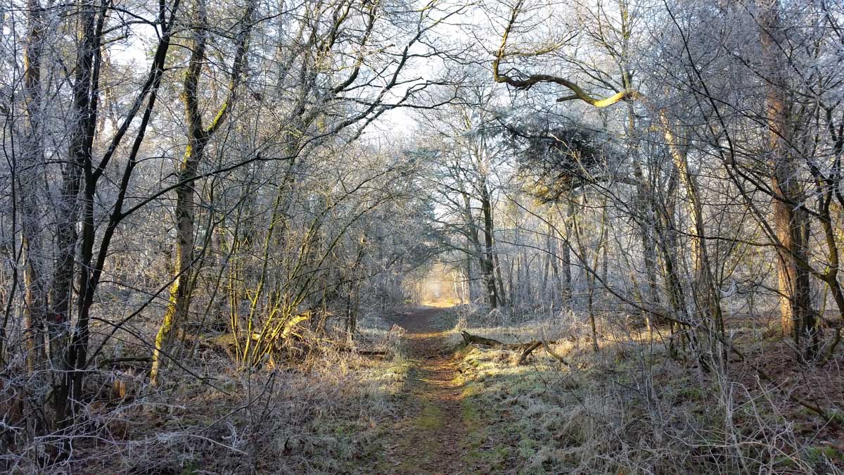 Bernhezer Winterwandeltocht