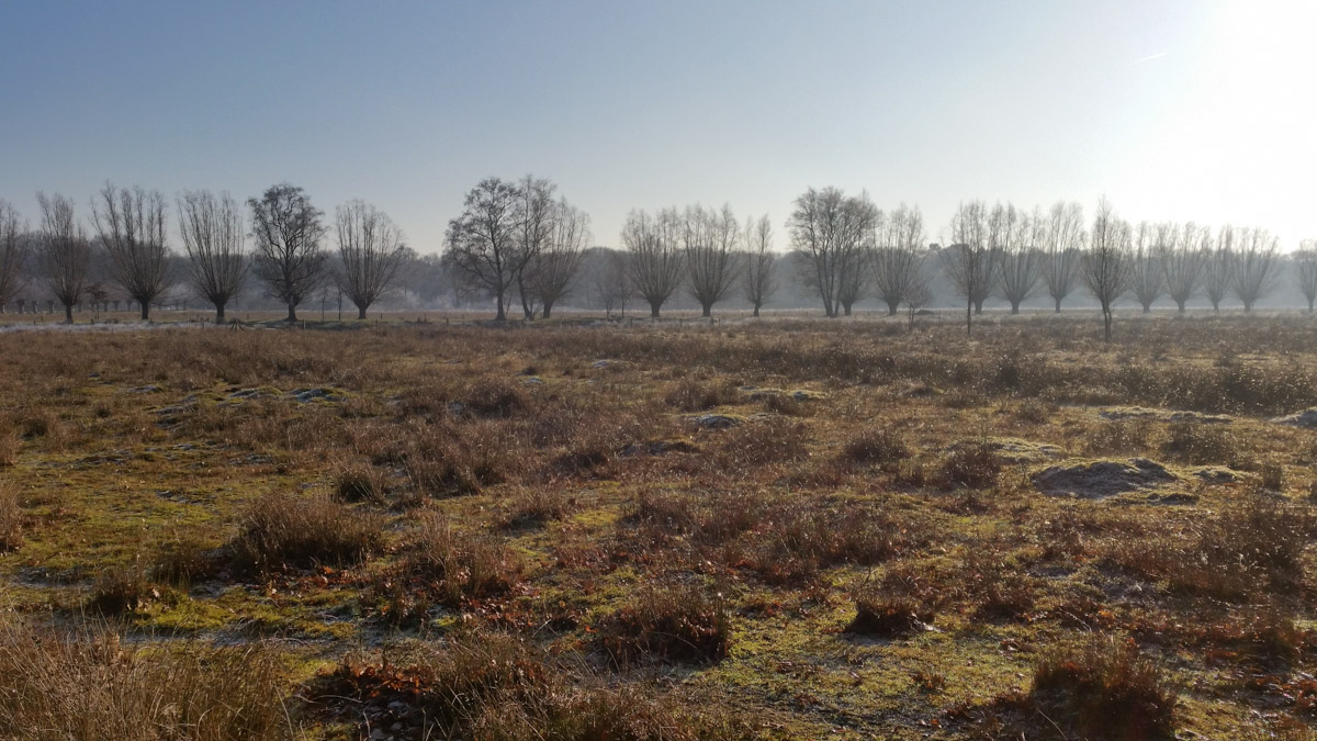 Bernhezer Winterwandeltocht