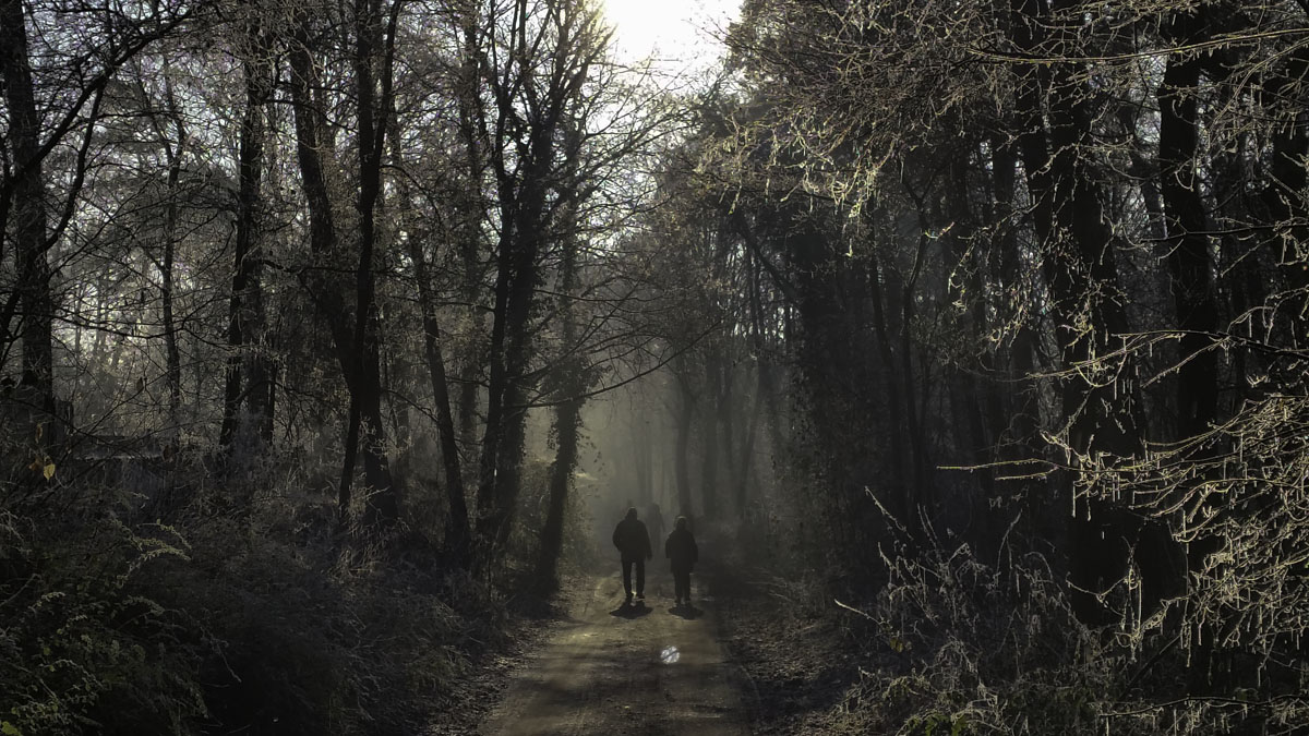 Bernhezer Winterwandeltocht