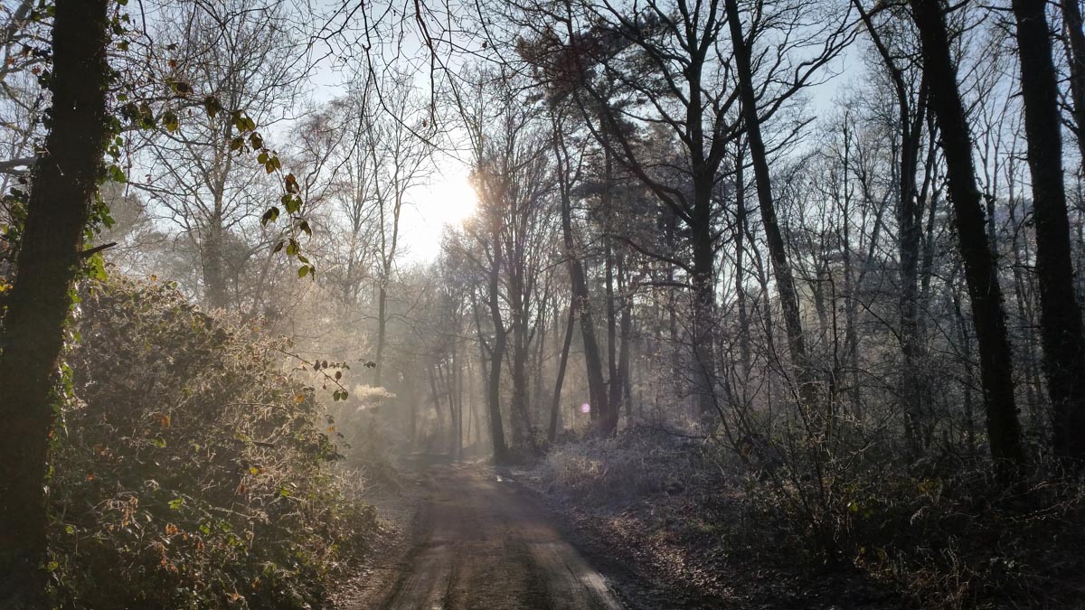 Bernhezer Winterwandeltocht