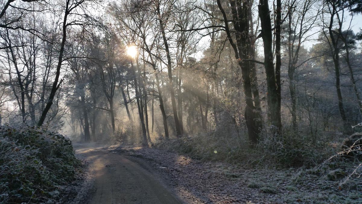 Bernhezer Winterwandeltocht