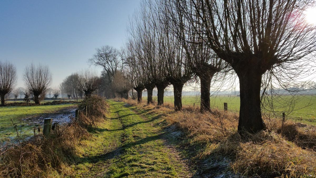 Bernhezer Winterwandeltocht