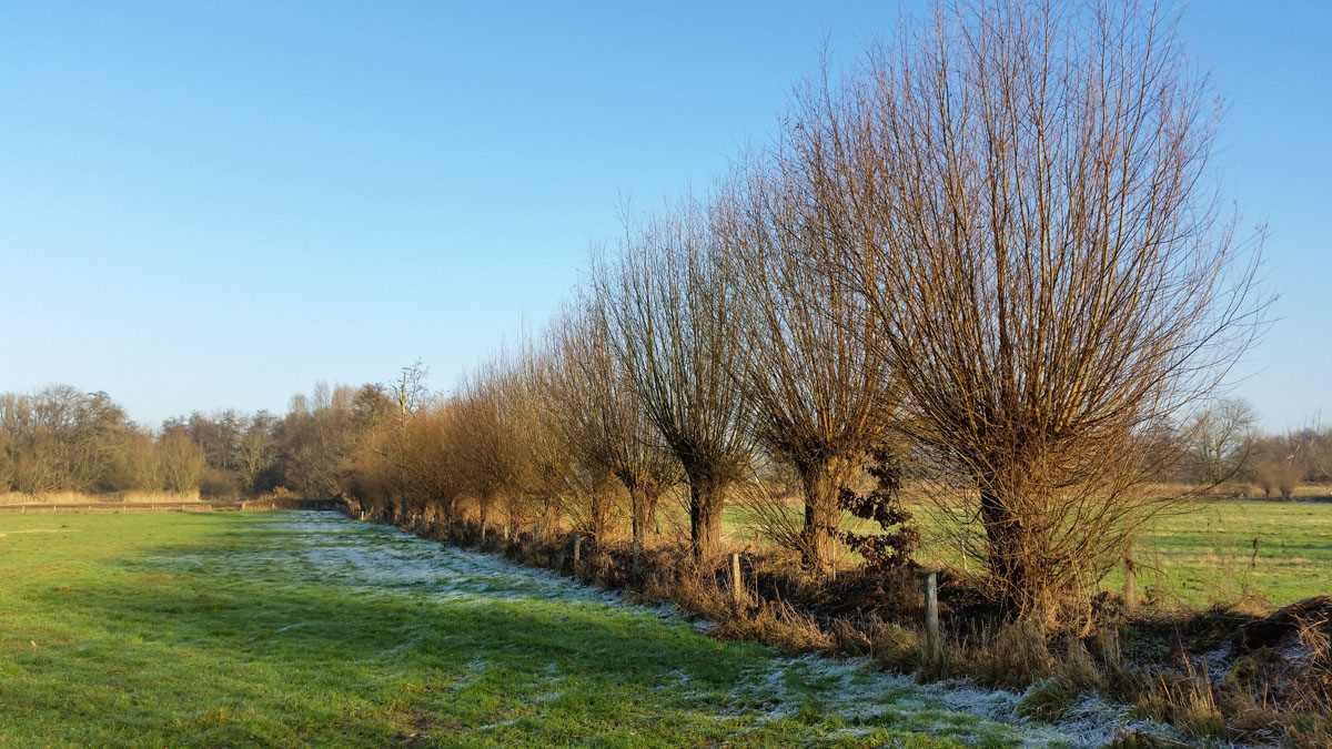 Bernhezer Winterwandeltocht