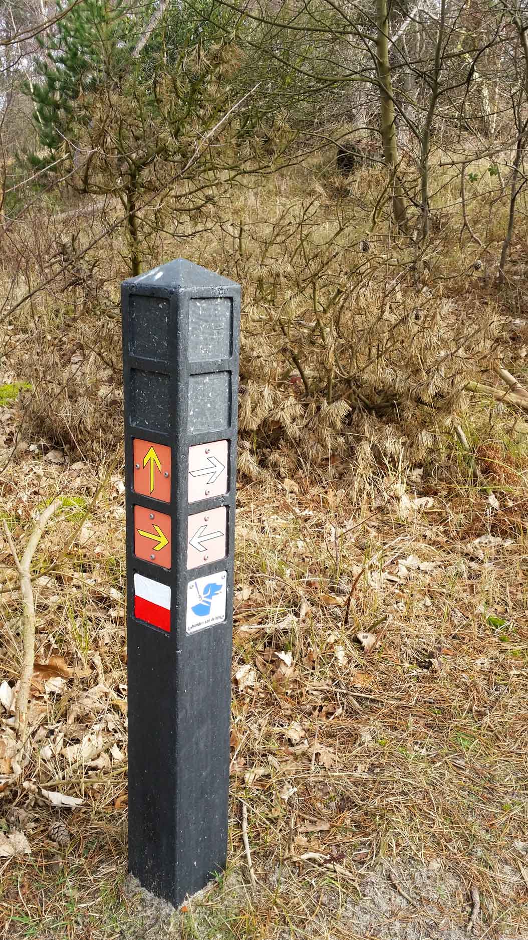 Westenschouwen, Schouwen-Duiveland