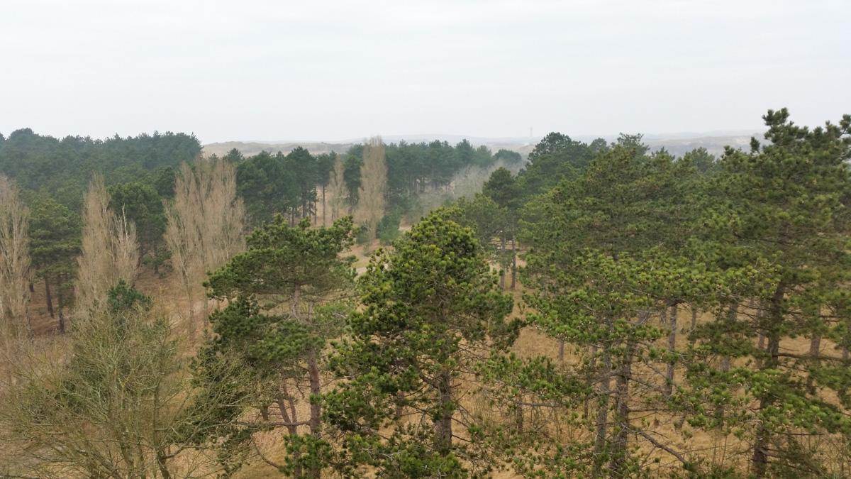 Westenschouwen, Schouwen-Duiveland