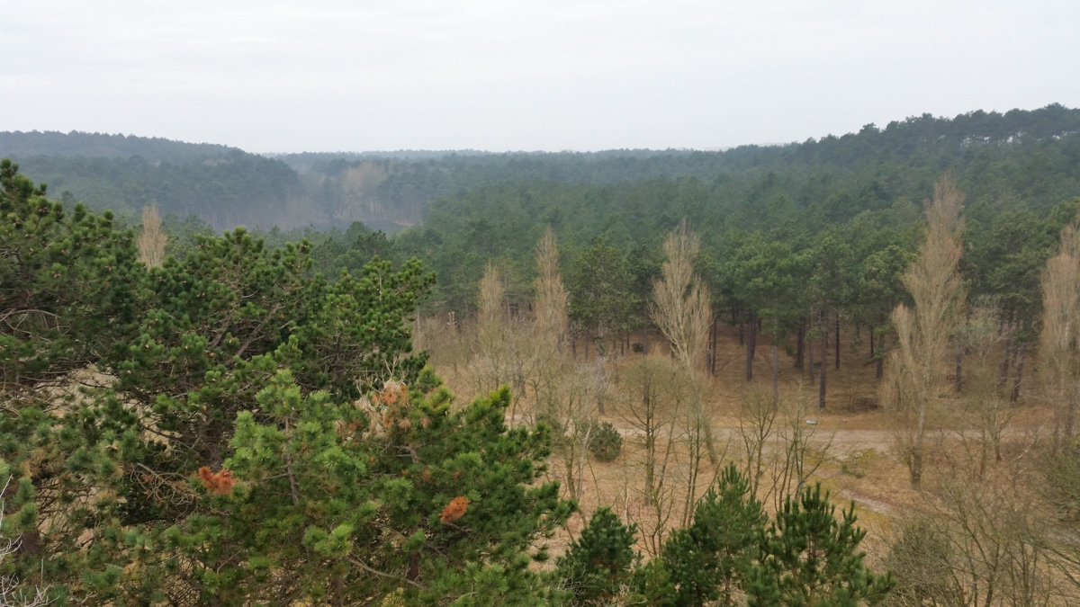 Westenschouwen, Schouwen-Duiveland