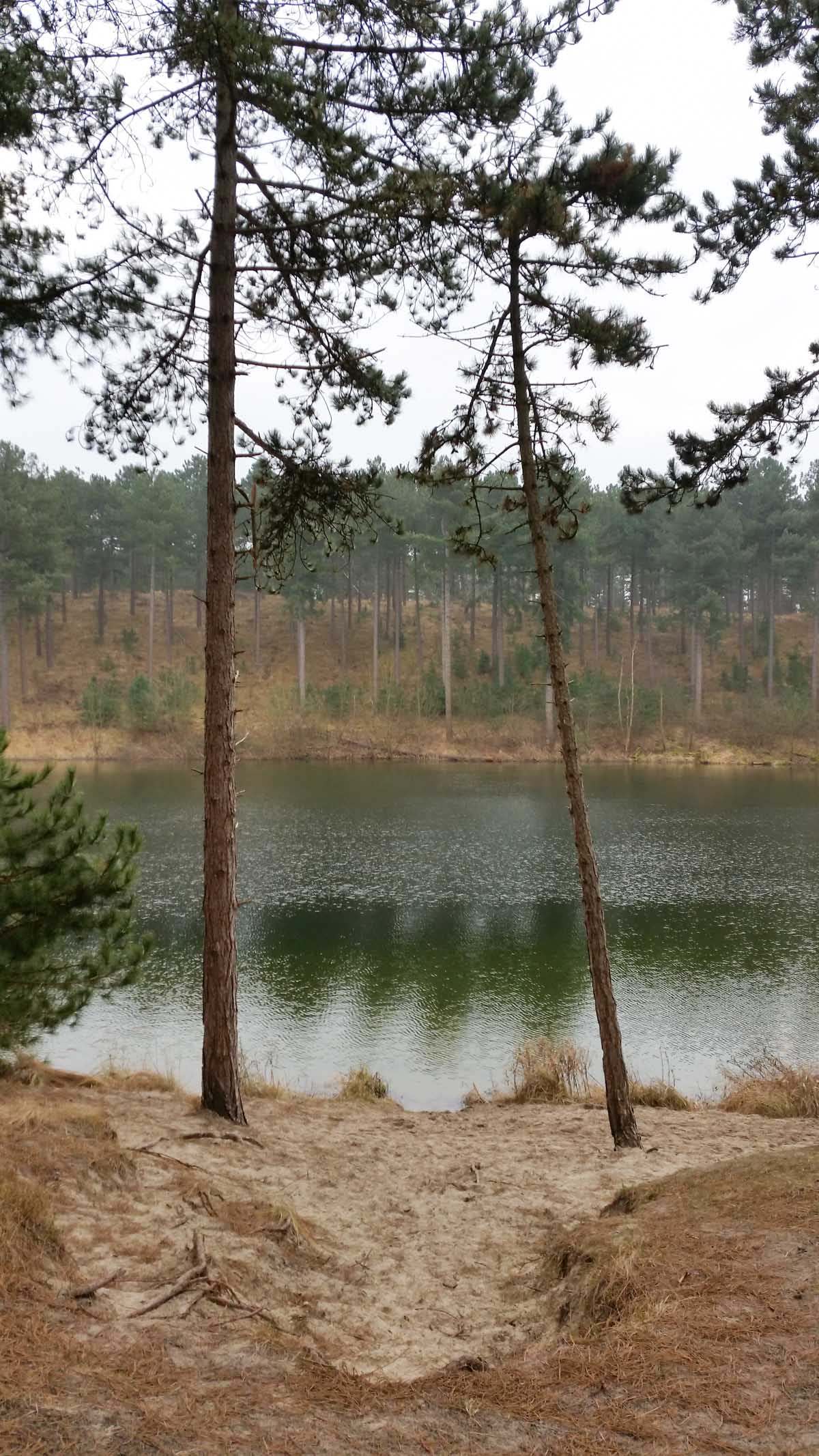 Westenschouwen, Schouwen-Duiveland