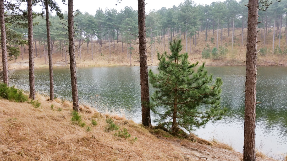 Westenschouwen, Schouwen-Duiveland