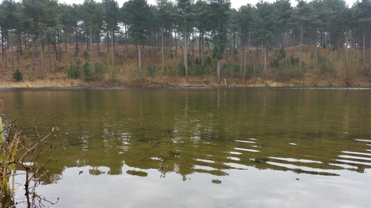 Westenschouwen, Schouwen-Duiveland