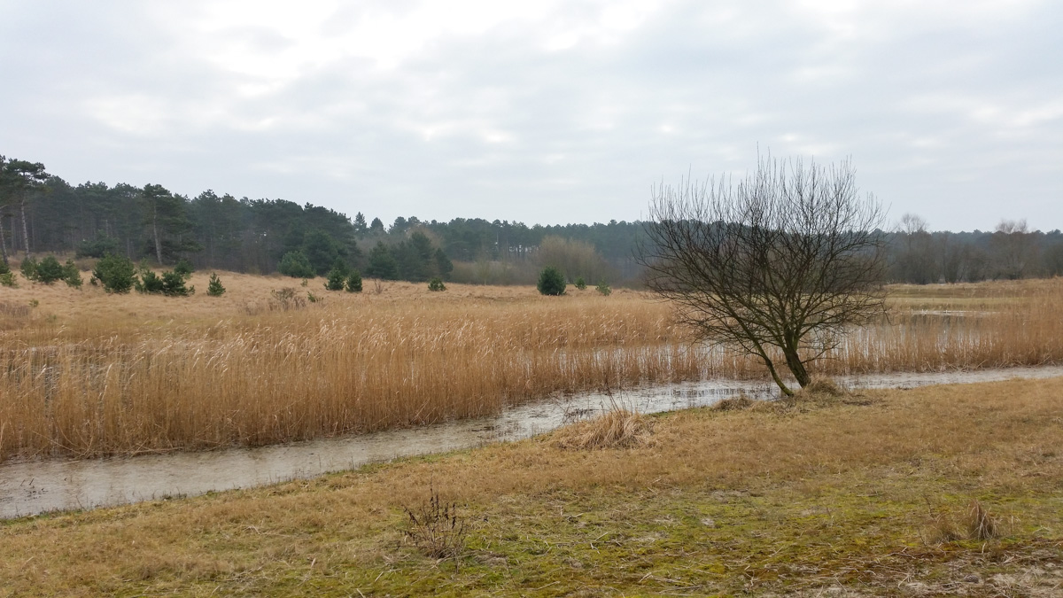 Westenschouwen, Schouwen-Duiveland