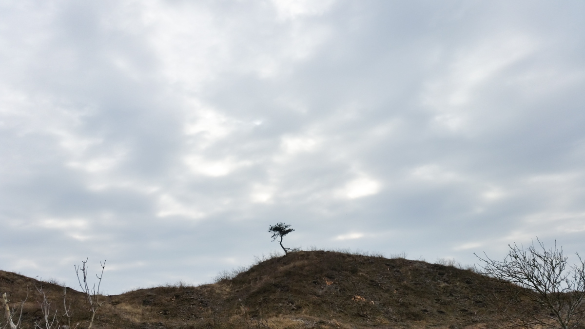 Westenschouwen, Schouwen-Duiveland