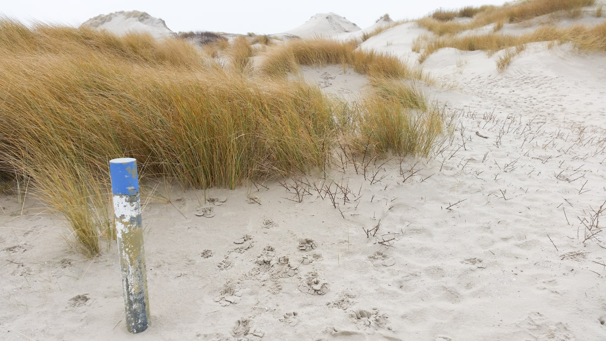 Westenschouwen, Schouwen-Duiveland