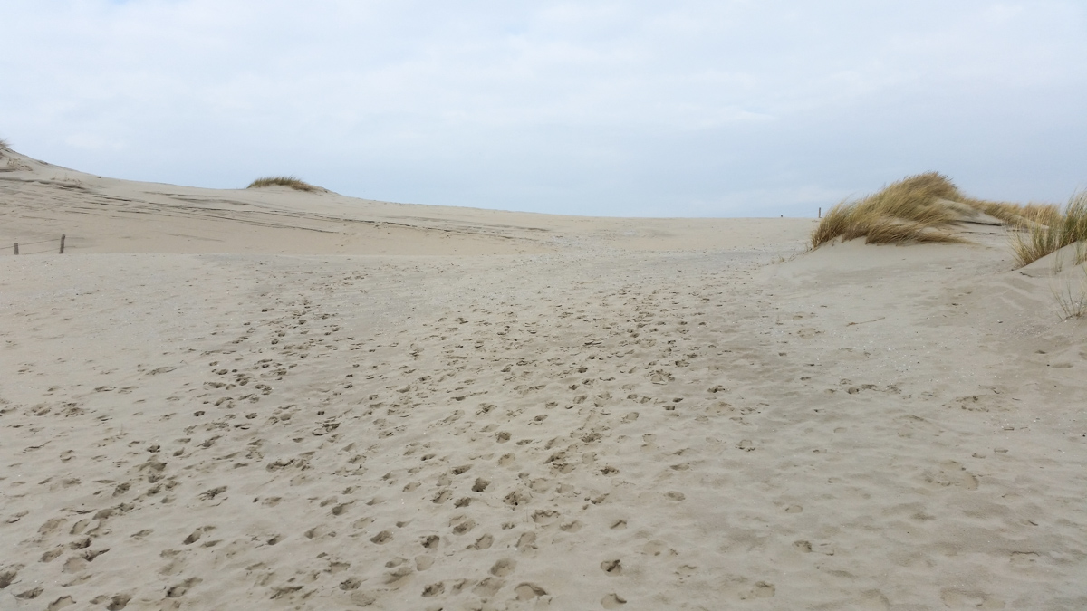 Westenschouwen, Schouwen-Duiveland