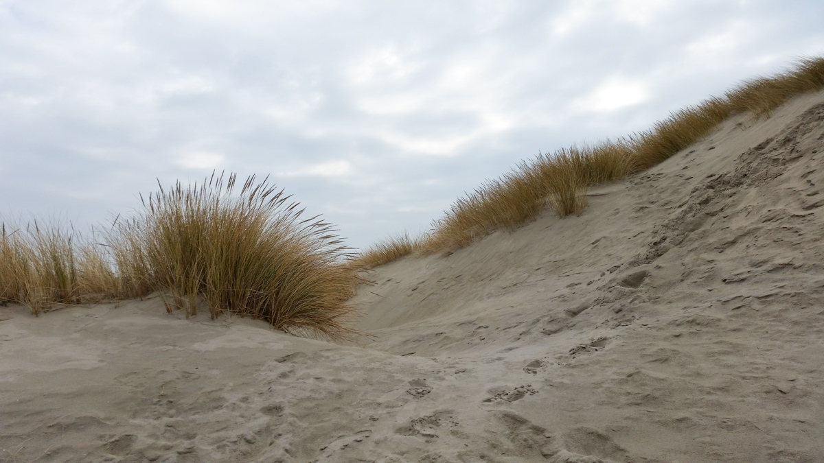 Westenschouwen, Schouwen-Duiveland