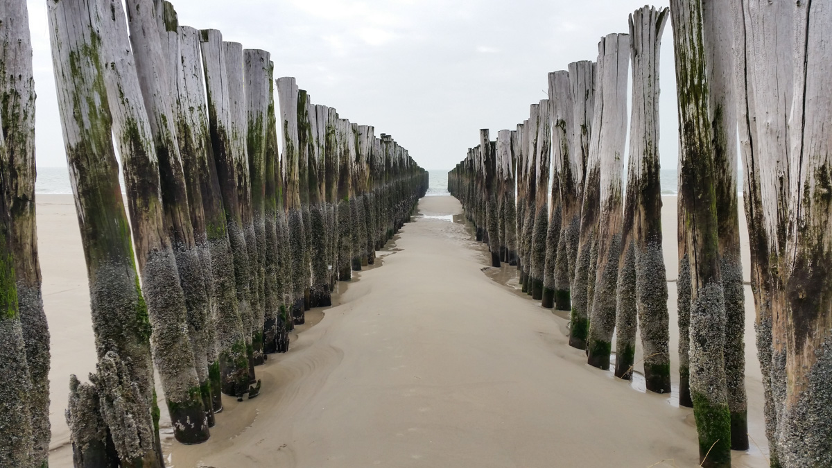 Westenschouwen, Schouwen-Duiveland